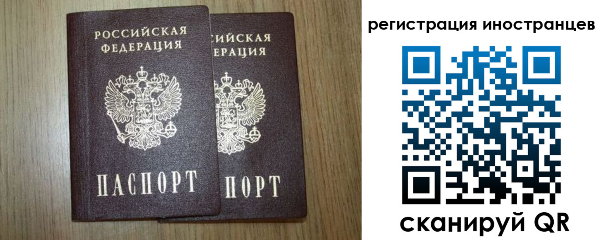 прописка для школы в Костромской области